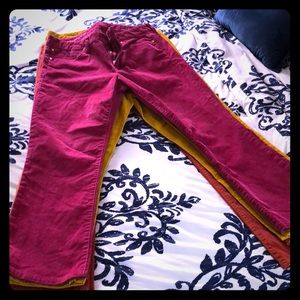 Fuscia Cropped Corduroys